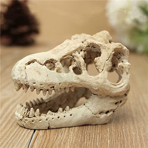AWXZOM Desert Reptile Skull Fish Tank Decorations - Bearded Dragon Accessories, Snake Tank Decor (Human + Dinosaur)
