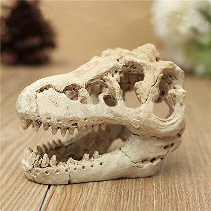 AWXZOM Desert Reptile Skull Fish Tank Decorations - Bearded Dragon Accessories, Snake Tank Decor (Human + Dinosaur)