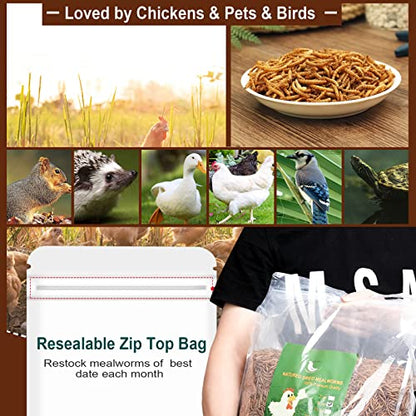 Non-GMO High-Protein Large Dried Mealworms for Chickens, Natural Grubs and Poultry Treats as Chicken Feed,Duck Food, Wild Birds Seed,Fish Food,Reptile Food,Amphibian Food(Mealworms-22LB)