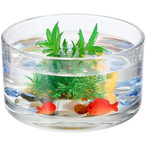 Toddmomy Clear Glass Terrarium Bowl 5.90In Round Glass Flower Pot for Hydroponics Planter Succulents Aquarium Display Home Party Wedding Table Decor