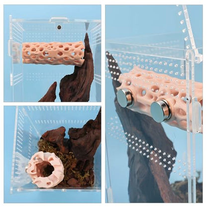 Jumping Spider Hide and Tunnel - 3D-Printed Small Reptile Enclosure Decoration, Magnetic Habitat Hideouts for Climbing and Shelter