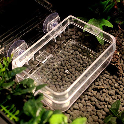 Reptile Food Feeder, Anti Escape Design, Multi Functional Hydration and Feeding Dish, Non ABS, for Reptiles and Amphibians