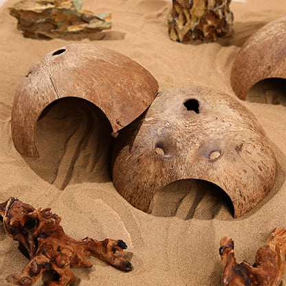 Woanger 6 Pcs Natural Coconut Reptile Hideouts, Coco Hut Hide Toys for Lizards, Geckos, Hermit Crabs, Snakes, Tarantulas, Small Reptile Habitat Decoration Supplies