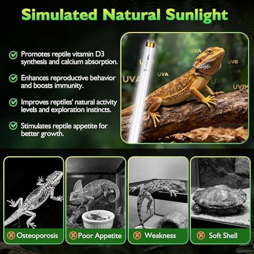 UVB Light for Reptiles Bearded Dragon, 2 Pack T8 UVB Reptile Light UVB Bulb 10.0 15W UVA UVB Reptile Light Bulb Terrarium Light Lamp Tube for Turtle Chameleon Leopard Gecko Snake Tank, 18 Inch - size: T8-18 Inch(2 Pack)