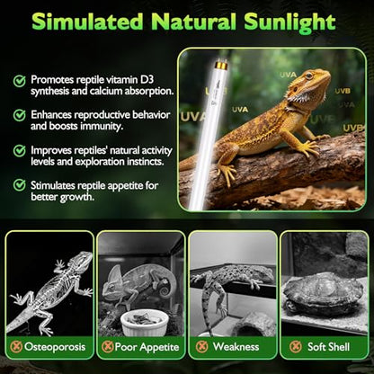 UVB Light for Reptiles Bearded Dragon, 3 Pack T8 UVB Reptile Light UVB Bulb 10.0 17W UVA UVB Reptile Light Bulb Terrarium Light Lamp Tube for Turtle Chameleon Leopard Gecko Snake Tank, 24 Inch - size: T8-24 Inch(3 Pack)
