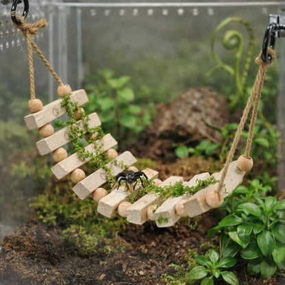 Jumping Spider Enclosure Accessories Magnetic Jumping Spider Rope Bridge with Artificial Moss Handmade Rectangular Solid Wood Suspension Bridge (Natural Wood Color)