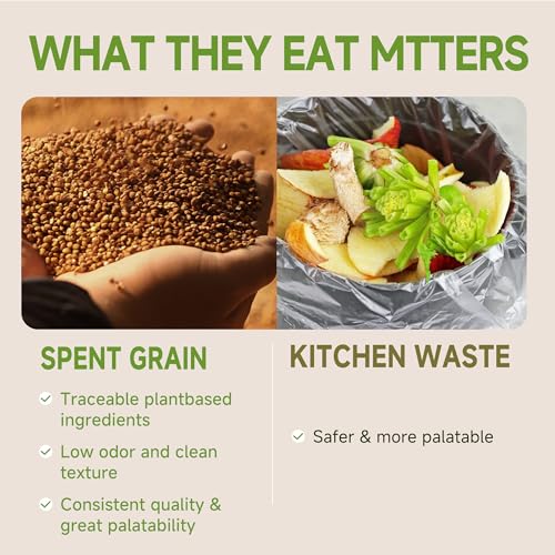 5LB Non-GMO Dried Black Soldier Fly Larvae for Chickens 45% Protein High Calcium Chicken Feed Alternative to Mealworms, Dried BSF Larvae Chicken Treats for Laying Hens Ducks Birds Reptiles - size: 5 Pound (Pack of 1)