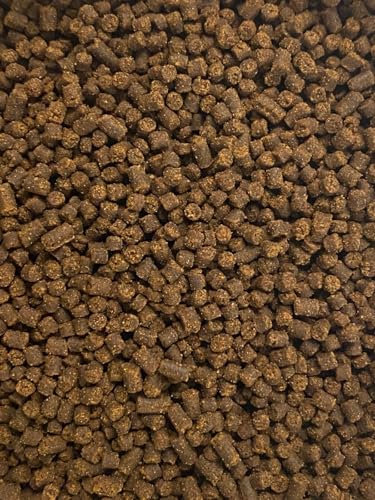 Juvenile Axolotl Soft Food PELLETS 2.4mm,Salamander,Frog,Newts,A282 (1oz - Sample) - size: 1 Ounce (Pack of 1)