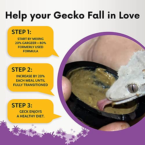 Gargeer 8oz Gentle Geck Tropical Diet - Crested Gecko Food. Made in USA | Expert-crafted superfood! Organic mango, banana & dried coconut mixed with wild insect proteins & probiotics. Zero fillers - size: 8 Ounce (Pack of 1)