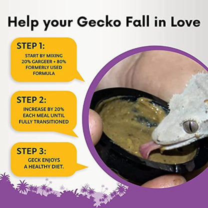 Gargeer 8oz Gentle Geck Tropical Diet - Crested Gecko Food. Made in USA | Expert-crafted superfood! Organic mango, banana & dried coconut mixed with wild insect proteins & probiotics. Zero fillers - size: 8 Ounce (Pack of 1)
