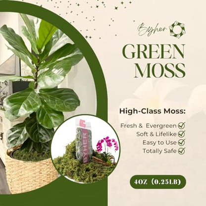 4 OZ Fake Moss for Potted Plants, Artificial Green Moss for Crafts Faux Moss for Indoor Planters Fairy Garden Table Centerpieces Wedding Decoration (Fresh Green)