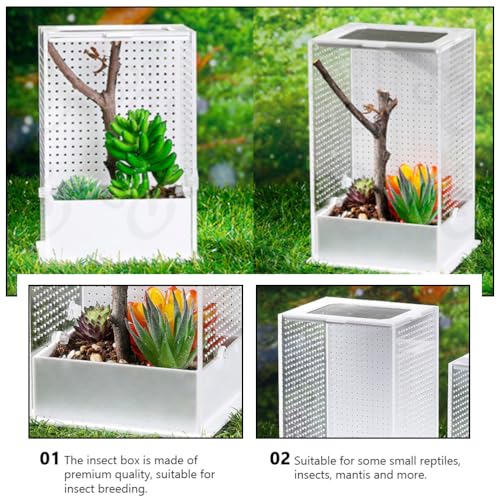 2 Pcs Feeding Box Insect Breeding Container Transparent Habitat Reptile Tarantula Scorpion Lizard