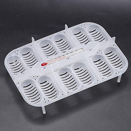 Qiilu Reptile Hatchery Box Transparent Plastic Professional Snake Lizard Eggs Breeding Incubator Tray Hatcher Box Incubation Pet Supplies Amphibians