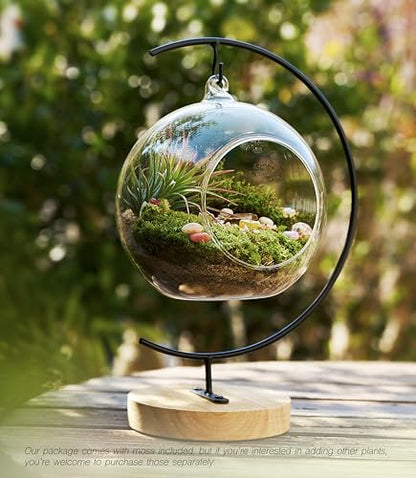 DIY Terrarium Kit with Live Moss, 15-Piece Glass Globe Set | Complete DIY Experience, Beginner Friendly, Wooden Display Stand, Gift-Ready Set, Indoor Nature Decor, Easy Assembly