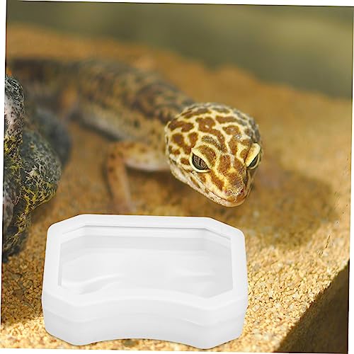 2Pcs Reptile Feeding Dish Escape Bowl with Strong Suction Cup Transparent Food Water Feeder for Lizard Gecko Bearded Dragon Suitable for Various Reptiles