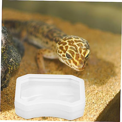2Pcs Reptile Feeding Dish Escape Bowl with Strong Suction Cup Transparent Food Water Feeder for Lizard Gecko Bearded Dragon Suitable for Various Reptiles