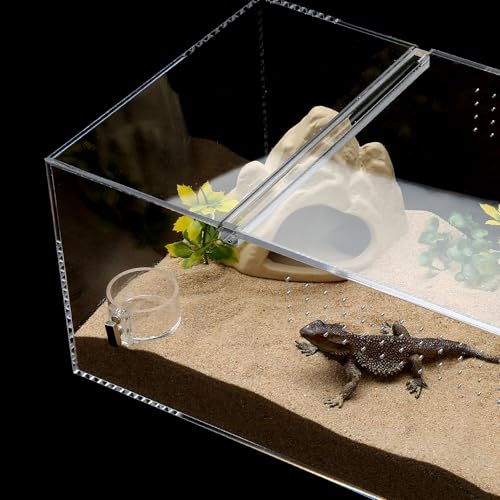 2 Pack Jumping Spider Feeding Dish, Acrylic Tarantula Water Dish Food Bowl | Jumping Spider Food Water Dish, Strong Double Magnets, Jumping Spider Enclosure Accessories for Insect,Reptile,Mantis,Bug
