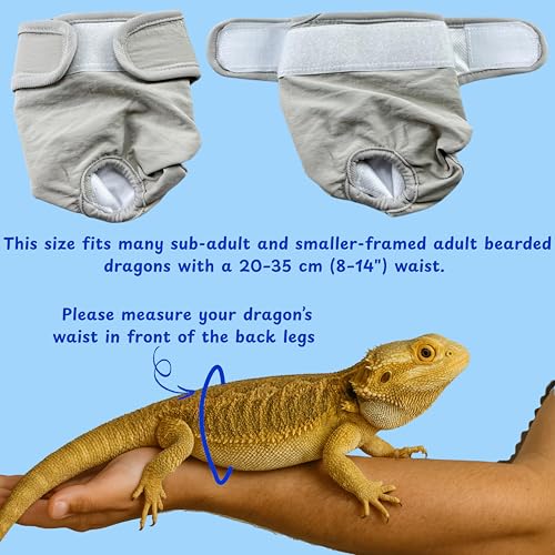 Bearded Dragon Diapers Bedding Mat Accessories, Adjustable Diaper, 2pcs Cleaning Mat for Picnic Travel, Bearded Dragon Diapers Accessories Reusable Pad, Reptile Carrier Essentials (2 Reusable Pad) - color: 2 Reusable Pad