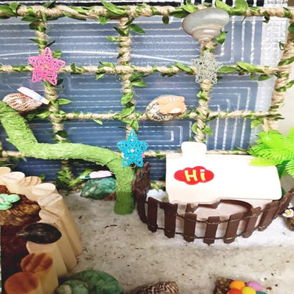 Hermit Crab Climbing Toys Set，Hermit Crab Habitat Tank Accessories,Also for Small Lizard Chameleon Leopard Gecko Reptile