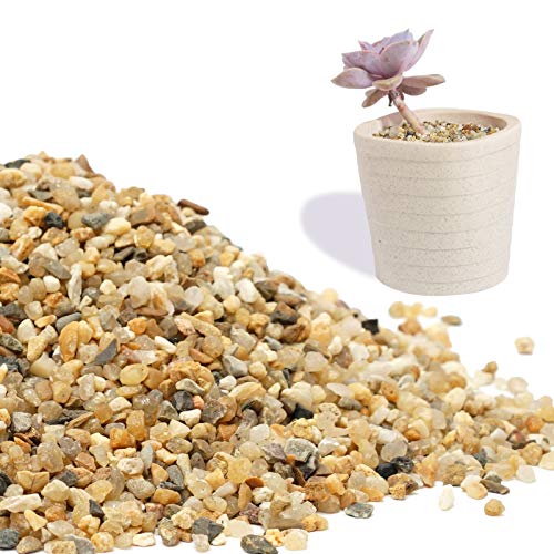 Coarse Sand Stone 1LB Decorative Rocks Sand Stone,Mix Coarse Sand for Plants,Soil Cover Bonsai,Succulent,Terrarium,Course,Garden,Cactus Sand, Aquarium, Fairy Garden, DIY. - size: 1 LB