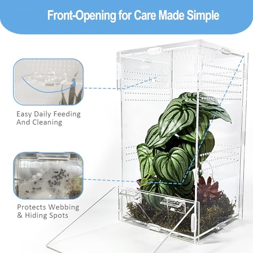Jumping Spider Enclosure 6”x6”x10”, Arboreal Tarantula Enclosure, Praying Mantis Terrarium Critter Cage for Jumping Spider, Tarantula, Mantis, Snail, Isopods, Beetles, Millipedes - size: Large