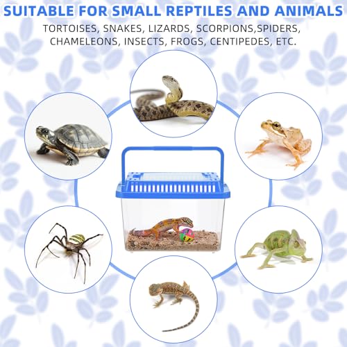 LemonRoad 15 Pcs Plastic Reptile Terrariums Carrier Cage 5.1x3.5x3.5 in Small Reptile Enclosure with Ventilated Lid Snake Breeding Box Hatching Container for Tarantula Spider Turtle Hermit (Blue)
