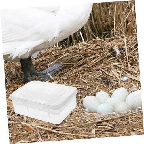 BESPORTBLE 2Pcs Compartment Reptile Hatchery Tray Lightweight Incubator Box for Lizard Easy to Clean and Portable Breeding Case