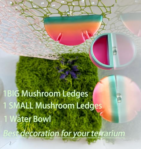 2 Pack Jumping Spider Accessories Mushroom Ledges & 1 Pack Water Bowl with Magnets for Spoods Jumping Spiders Magnetic Ledge Ladder Pet Spider Accessories (Not Included The Terrarium) - color: green+yellow