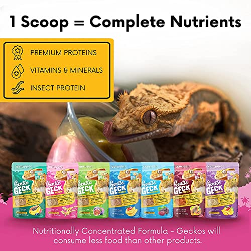 Gargeer 8oz Gentle Geck Breeder Diet - Crested Gecko Food. Made in USA | Expert-crafted superfood! Loaded with organic mango, banana, insect proteins & probiotics. No soy, wheat, or cheap fillers - size: 8 Ounce (Pack of 1)