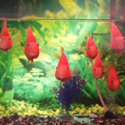 AQUANEAT Fish Tank Breeder 2 pcs Small Mesh Net Fry Saver Aquarium Spawn Hatchery Isolation with Suction Cups - size: Small