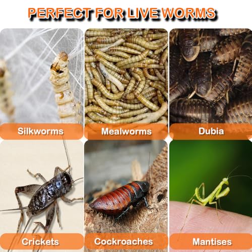 Spider Cage Manti Feeding Box Reptile Mealworms Breeding Box to Breed Live Worms for Spider Manti Insects (Black)