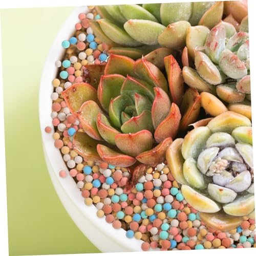 Toddmomy 2bags Ceramsite Stones for Plant Decoration for Hydroponic Gardening Air Purification and Root Aeration Flower Pots