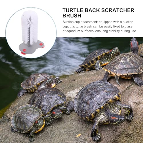 TIDTALEO Turtle Shell Cleaning Brush with Suction Cup, Abs Material, Moderate Hardness for Effective Scrubbing, Turtle Tank Accessories for Aquatic Reptile Supplies and Small Cup Cleaning