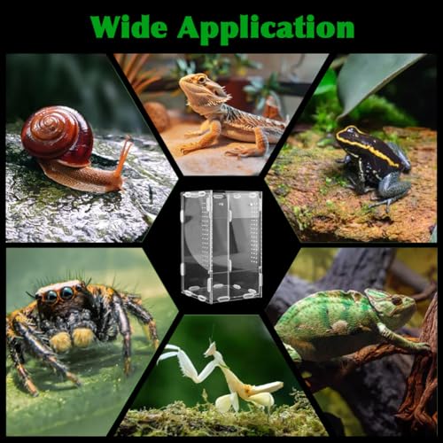 Jumping Spider Enclosure, 4x4x8 Inch Acrylic Reptile Terrarium Enclosure, with Magnet Front Opening Door, for Snail, Spiders, Mantis, Lizard, and Small Reptiles(Tweezer & Temp Sticker Included)