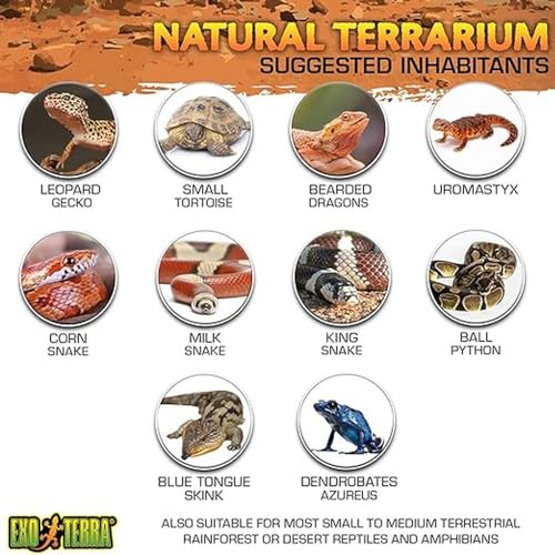 Exo Terra Glass Terrarium Kit, for Reptiles and Amphibians, Nano, 8 x 8 x 8 inches, PT2599A1 - size: 8 x 8 x 8 Inches