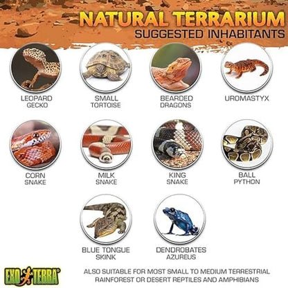 Exo Terra Glass Terrarium Kit, for Reptiles and Amphibians, Nano, 8 x 8 x 8 inches, PT2599A1 - size: 8 x 8 x 8 Inches
