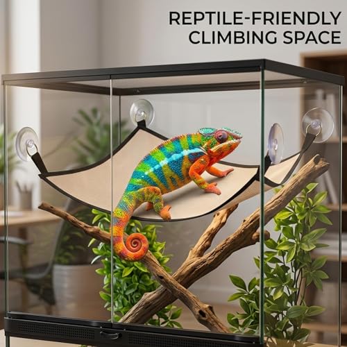 Bearded Dragon Hammock, Bearded Dragon Enrichment Large Tank Bed with Wall Climbing Design, Reptile Tank Decor Accessories for Bearded Dragons and Leopard Geckos (Rectangle, 28" x 10")
