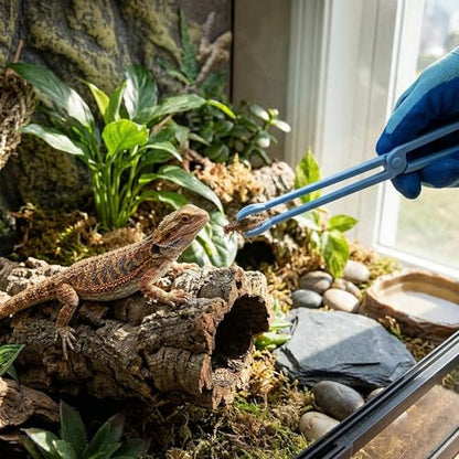 HEEPDD Reptile Feeding Tongs 9.64 Inch Stainless Steel Tweezers for Bearded Dragon Lizard Snake Supplies Accessories