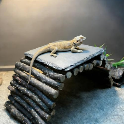 Bearded Dragon Tank Accessories - Natural Rock Basking Platform & Wooden Climbing Bridge Ladder Hideout, Habitat Décor for Tortoise, Snake, Gecko & Reptile Terrariums
