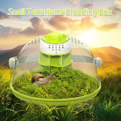 Snail Habitat Terrarium, Round Snail Enclosure with Feeding Design | Large Viewing Area, 360° Observation, Removable Base, Snail Habitat, Spider Enclosure & Small Reptile Habitat