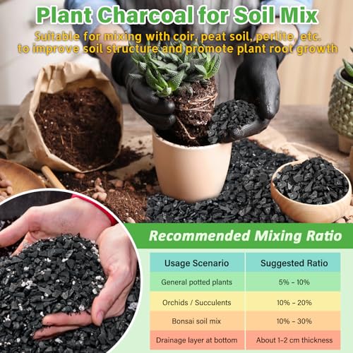 12QT All Natural Horticultural Charcoal- Activated Hardwood Plant Charcoal for Soil Amendment, Conditioning Bonsai Soil, Succulent, Terrarium Supplies, Indoor Plant Potting Soil - color: 12 QT