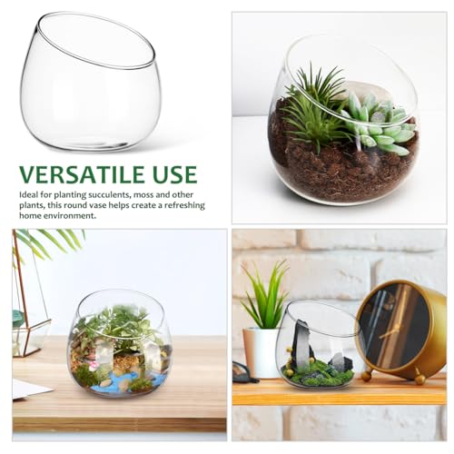 Homoyoyo Clear Glass Terrarium Bowl Vase Slanted Mouth Decorative Bowl for Succulents Moss Air Plants Small Indoor Planter for Desks Bookshelves Home Centerpieces 4.72 X 4.33 X 3.93 in