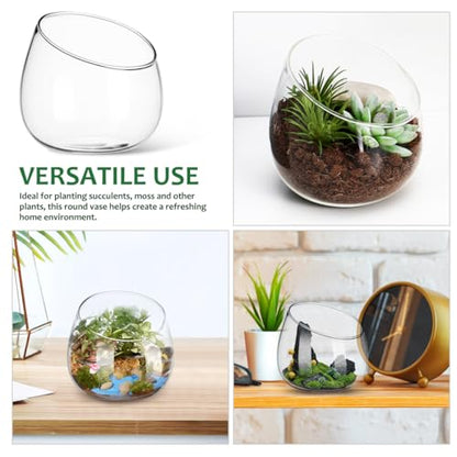 Homoyoyo Clear Glass Terrarium Bowl Vase Slanted Mouth Decorative Bowl for Succulents Moss Air Plants Small Indoor Planter for Desks Bookshelves Home Centerpieces 4.72 X 4.33 X 3.93 in