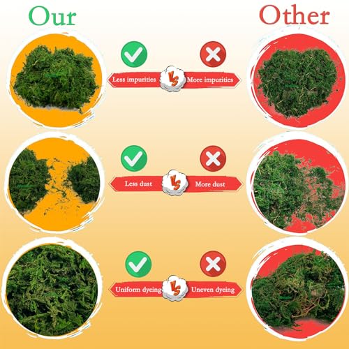 Artificial Dried Forest Moss Fake Moss Preserved Green Moss for Potted Plant Orchid Potting Mix Sphagnum Peat Moss Pole Craft Arts Floral Wedding Decor Centerpiece Fairy Garden Decoration 3.5oz
