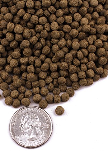 Turtle Bites (2.7 oz) - size: 2.7 ounce