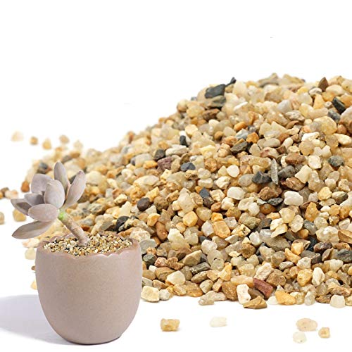 Coarse Sand Stone 1LB Decorative Rocks Sand Stone,Mix Coarse Sand for Plants,Soil Cover Bonsai,Succulent,Terrarium,Course,Garden,Cactus Sand, Aquarium, Fairy Garden, DIY. - size: 1 LB