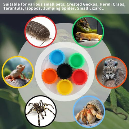 18 PCS Crested Gecko Food and Water Bowl, Reusable Small Reptile Feeding Dish, Colorful Silicone Crested Geckos Food Dish, Gecko Tank Accessories for Small Pet and Crabs, Easy Clean & 6 Colors