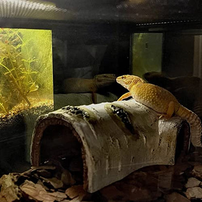 Reptile Hides and Caves Birch Tree Bark Trunk Habitats Decor Aquarium Decoration Wood for Lizard Geckos Snake Spiders Frogs Turtle (Medium) - style: Medium