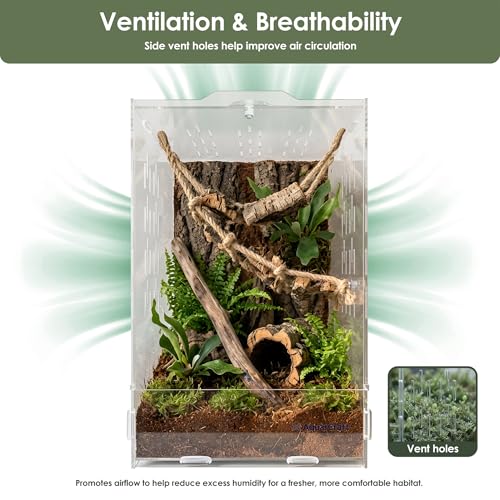 Acrylic Jumping Spider Enclosure, 7.48 x 7.87 x 11.81 in Clear Terrarium | Front-opening ventilated habitat for jumping spiders, small spiders and slow-moving invertebrates; clear acrylic display. - size: 7.48 x 7.87 x 11.81 inches（19x20x30cm）