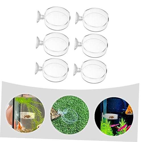 6pcs Cup Feeding Dish for Reptiles and Fish Food Trays for Aquatic Supplies Easy to Install and Clean for Freshwater Environments